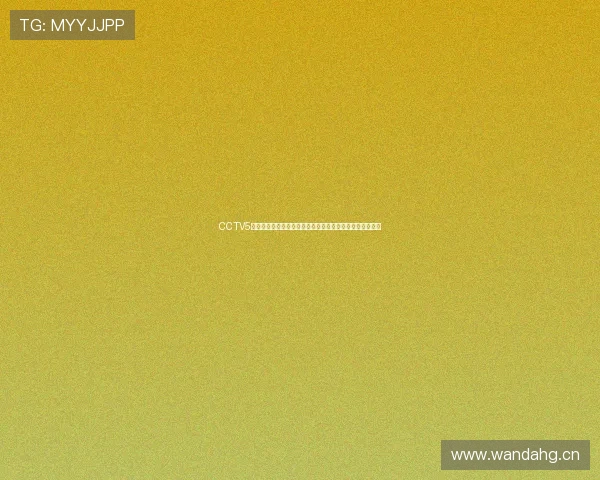 CCTV5在线直播天天体育赛事精彩纷呈助力体育迷实时观看与互动